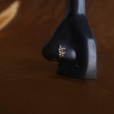 Double Butterfly Nose Pin