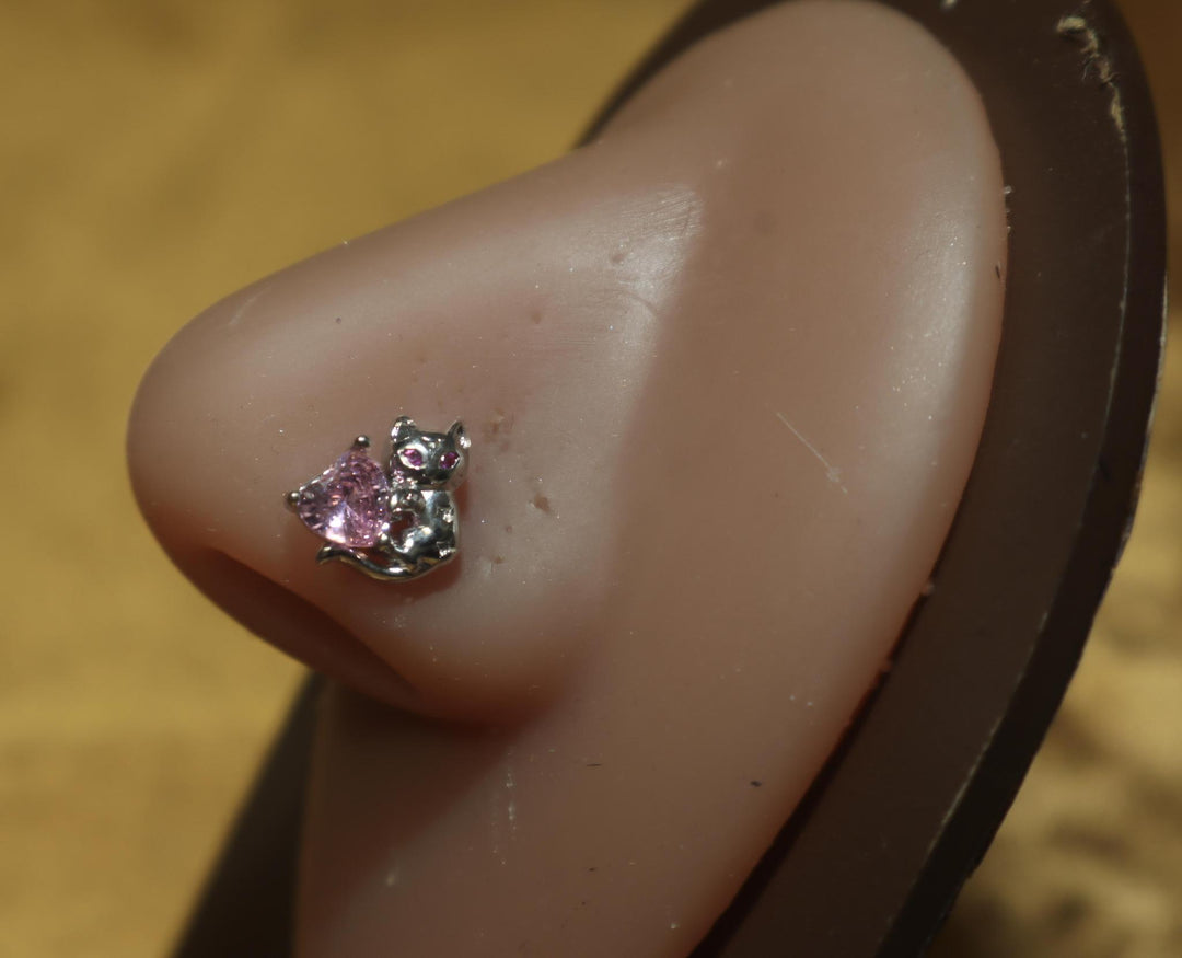 Cat holding heart nose stud