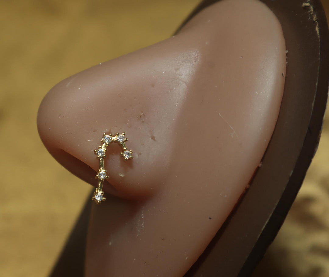 Minimalist Drop Nose Ring