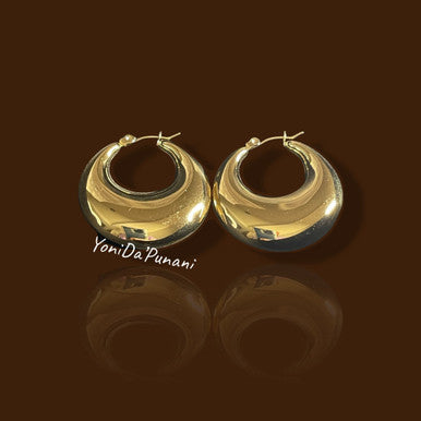 Stainless Steel Gold Color Shine Pair RIRI Earrings Jewelry - YoniDa'PunaniEarrings