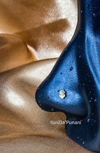 Dollar Sign Nose Stud - YoniDa'PunaniNose Stud