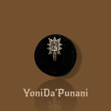 yonidapunani