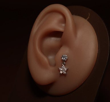 Stainless Steel Clear Gem Star Cartilage Ear Piercing Jewelry - YoniDa'PunaniCartilage piercing
